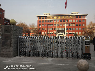 ?sh)动伸羃? width=